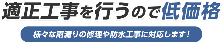 適正工事を行うので低価格 様々な雨漏りの修理や防水工事に対応します！